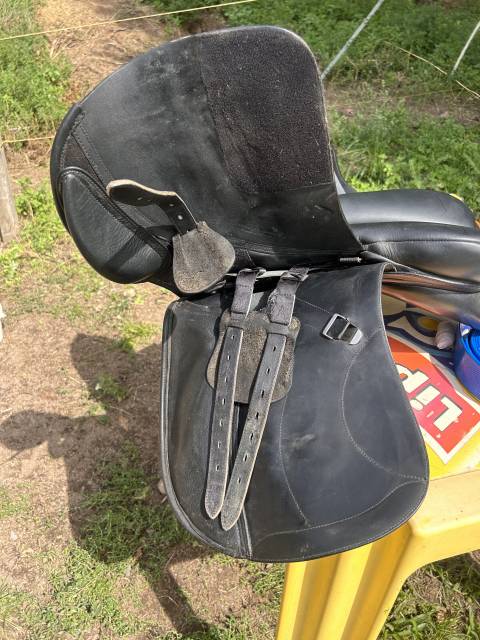 Sella mista Bates  17" - 2019