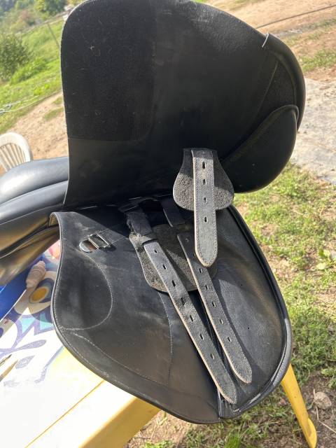 Sella mista Bates  17" - 2019