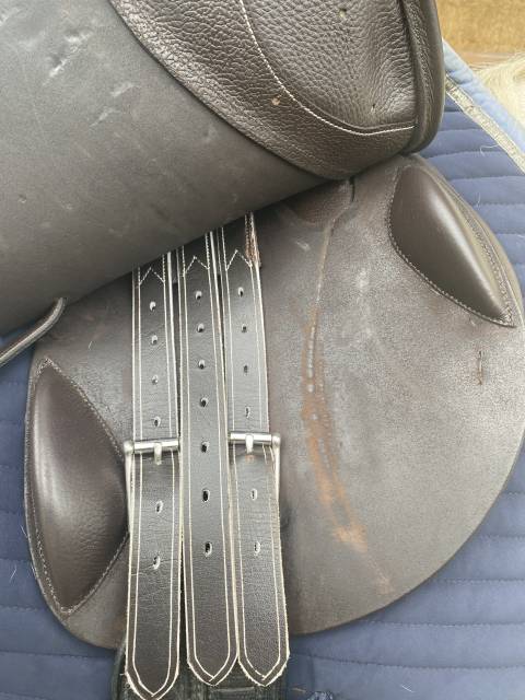 Sella mista TdeT  16.5" - 2025