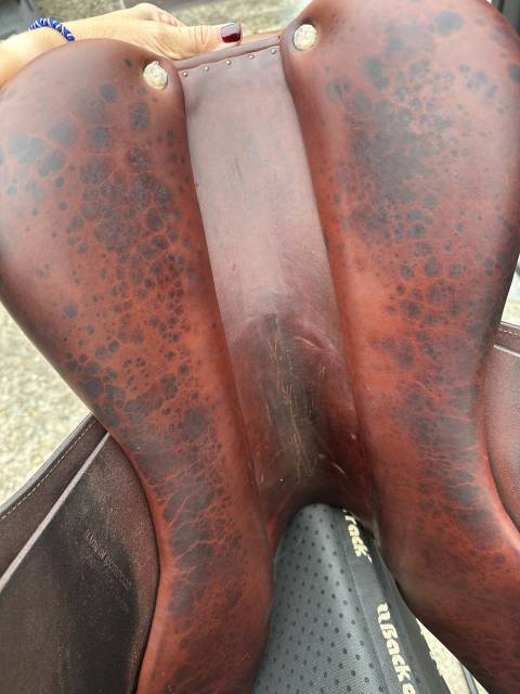 Sella mista Hervé Godignon  17" - 2015