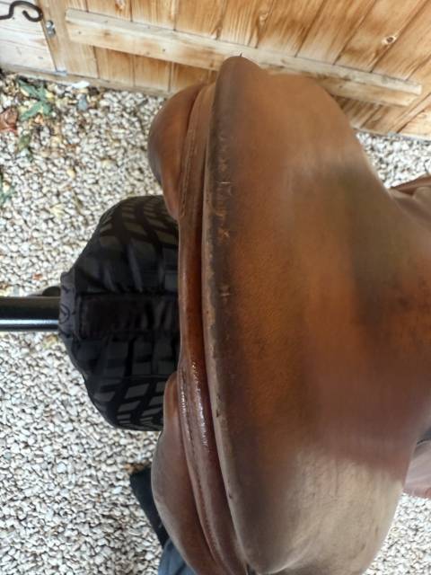 Sella da salto ostacoli CWD  17" - 2006