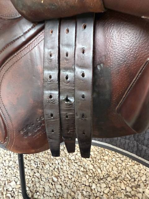 Sella da salto ostacoli CWD  17" - 2006