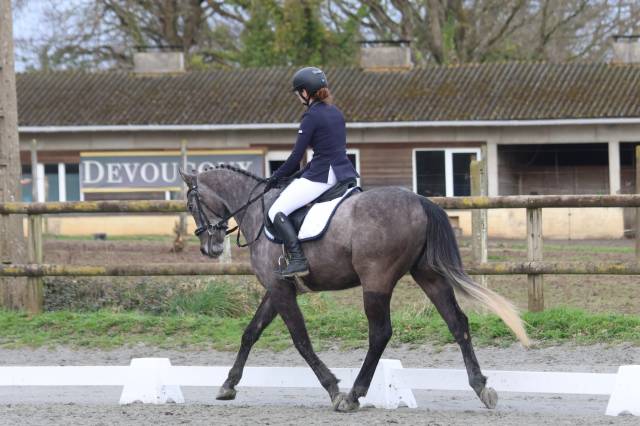 Sella mista Mondange  17.5" - 2017