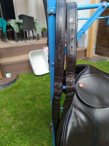 Sella mista KENT & MASTERS  17.5" - 2024