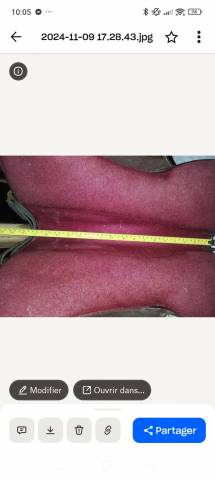 Sella australiana  Selle australienne  18" - 2020