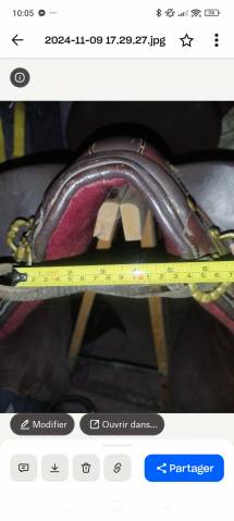 Sella australiana  Selle australienne  18" - 2020