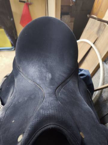 Sella da dressage Wintec  17.5" - 2021