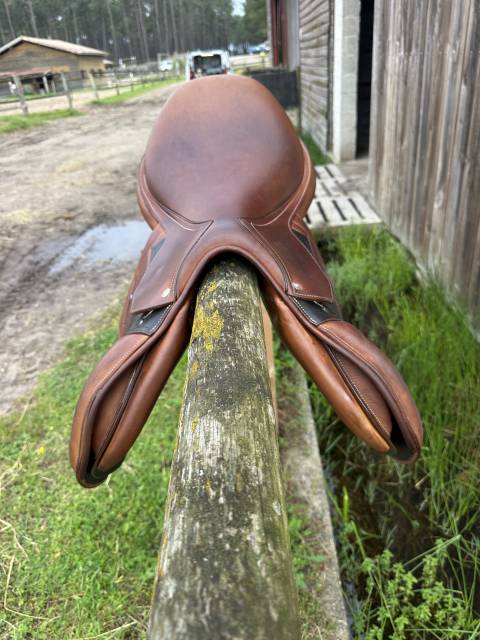 Sella da salto ostacoli Arion jumping 17" - 2024