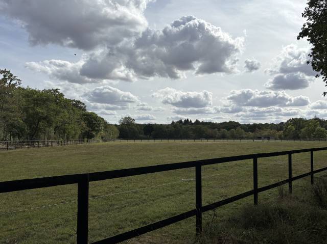 Centro di stagione cavallo In vendita Calvados