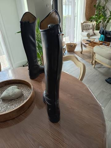  Joel Albert Occasione