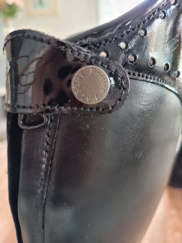  Joel Albert Occasione