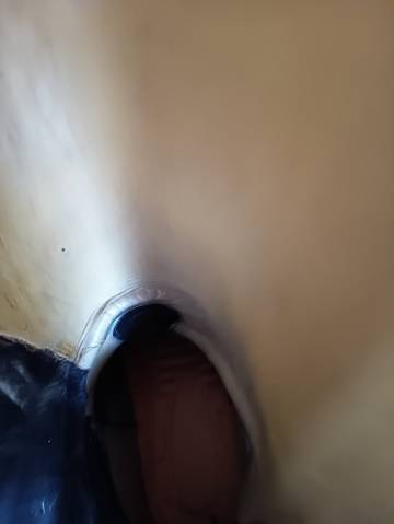  Joel Albert Occasione