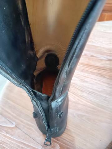  Joel Albert Occasione