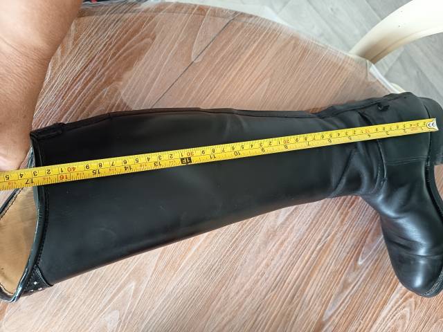  Joel Albert Occasione