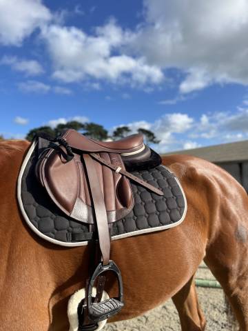 Sella mista Forestier  17.5" - 2024