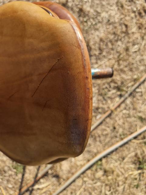 Sella da salto ostacoli CWD  18" - 2009