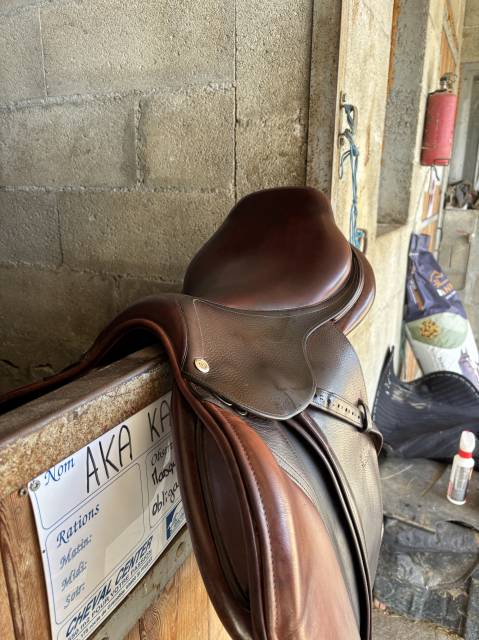 Sella da salto ostacoli CWD  17.5" - 2018