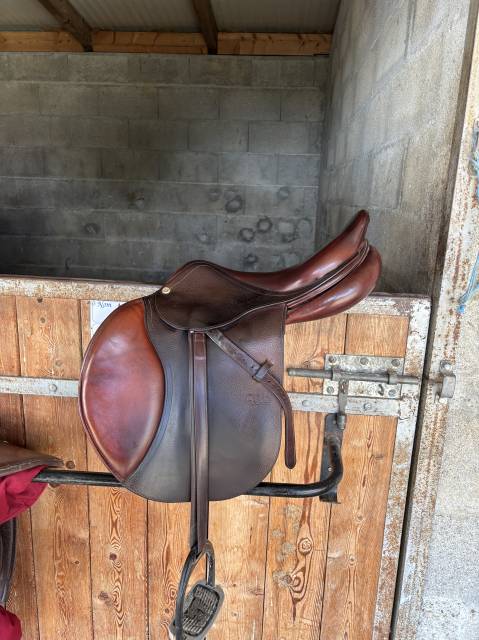 Sella da salto ostacoli CWD  17.5" - 2018