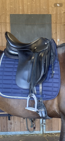 Sella da dressage Keith Bryan Santis 17.5" - 2023