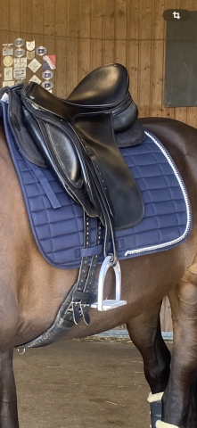 Sella da dressage Keith Bryan Santis 17.5" - 2023