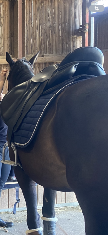 Sella da dressage Keith Bryan Santis 17.5" - 2023