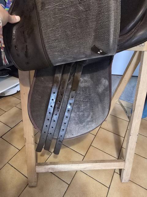 Sella mista Wintec  17" - 2010