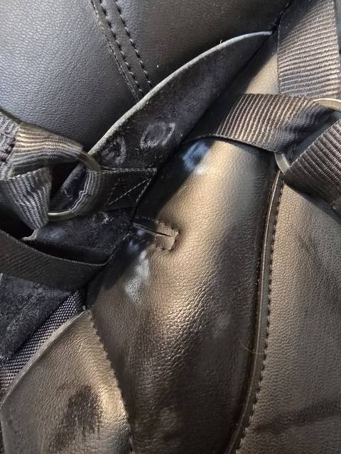 Sella da salto ostacoli Thorowgood   17.5" - 2020