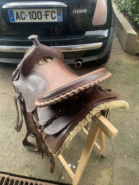 Sella western   19" - 2010