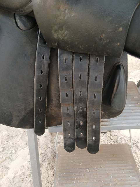 Sella da salto ostacoli Amerigo ??? 17.5" - 2016