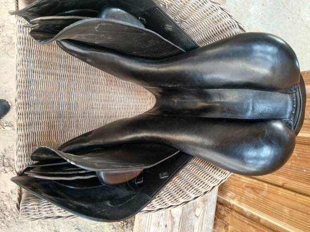 Sella da salto ostacoli Amerigo ??? 17.5" - 2016