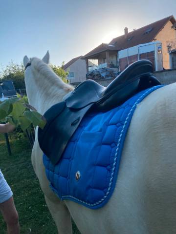 Sella mista John Whitaker  15.5" - 2009