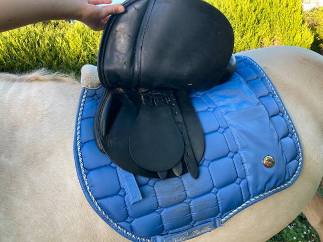 Sella mista John Whitaker  15.5" - 2009