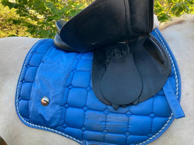 Sella mista John Whitaker  15.5" - 2009