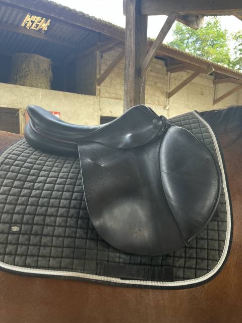 Sella mista Childeric  17" - 2015