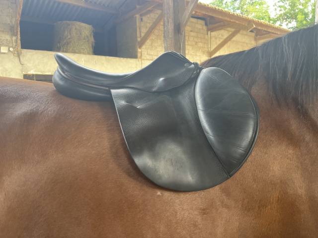 Sella mista Childeric  17" - 2015