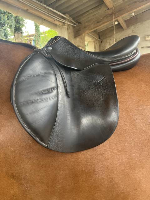 Sella mista Childeric  17" - 2015