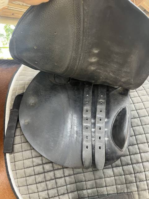 Sella mista Childeric  17" - 2015