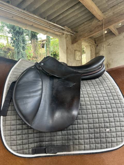 Sella mista Childeric  17" - 2015