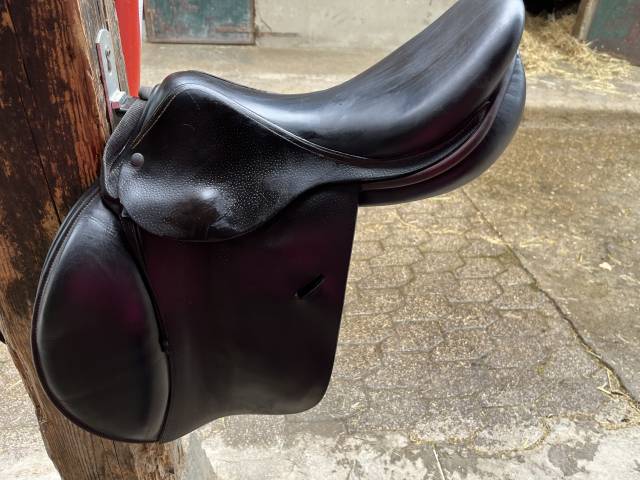 Sella mista Childeric  17" - 2015