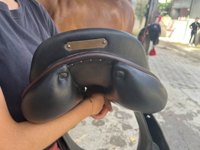 Sella mista Childeric  17" - 2015