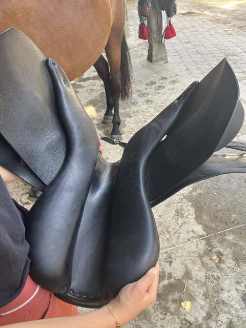 Sella mista Childeric  17" - 2015