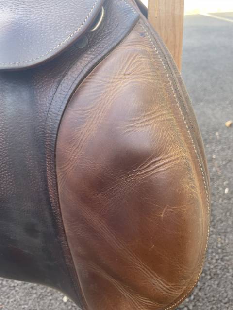 Sella da salto ostacoli Antar&egrave;s  17.5" - 2012