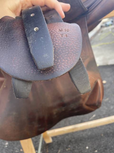 Sella da salto ostacoli Antar&egrave;s  17.5" - 2012