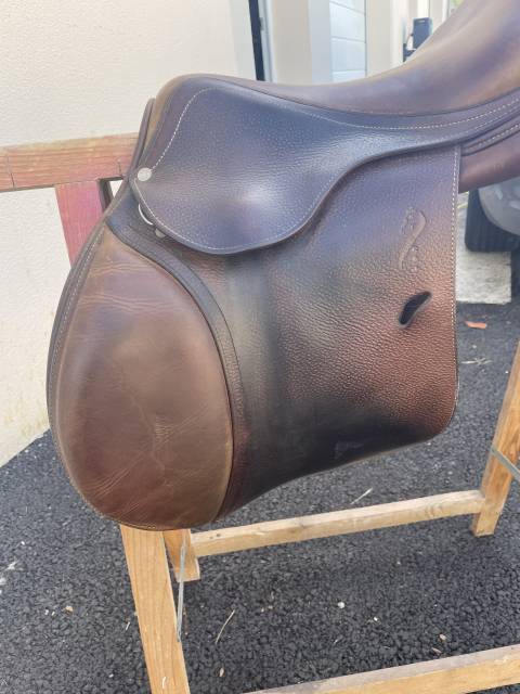 Sella da salto ostacoli Antar&egrave;s  17.5" - 2012