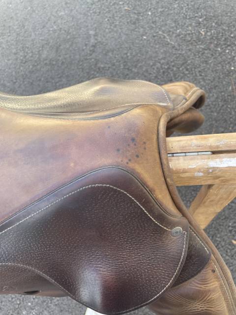 Sella da salto ostacoli Antar&egrave;s  17.5" - 2012