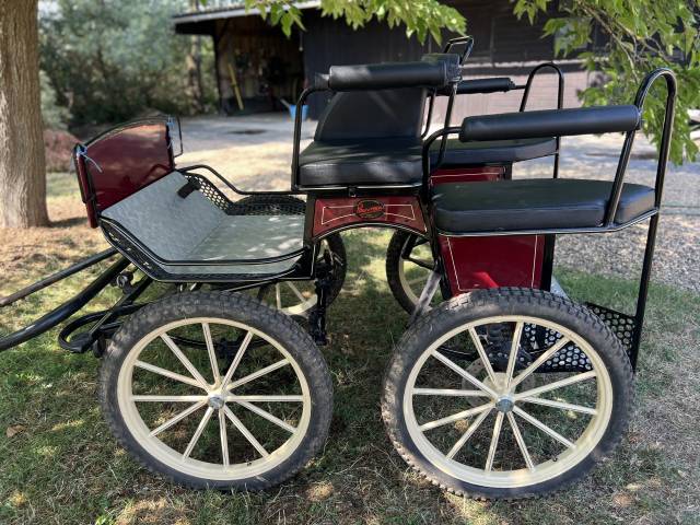 Attacchi - Marathon ricreazione Pouvreau Dresseuse 1 grand poney 