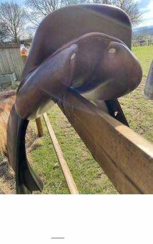 Altra sella Antarès  17.5" - 2019