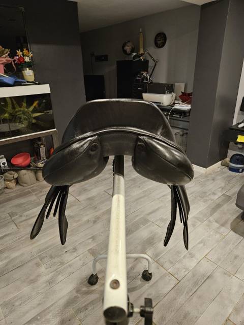 Sella da salto ostacoli Eric Thomas  17" - 2025