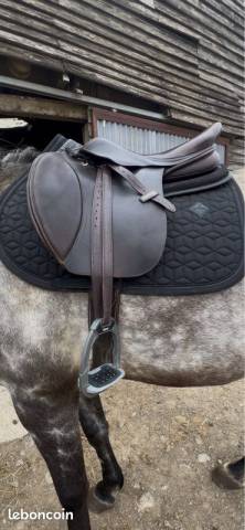 Sella da salto ostacoli Tattini Dalso Gold 17.5" - 2023