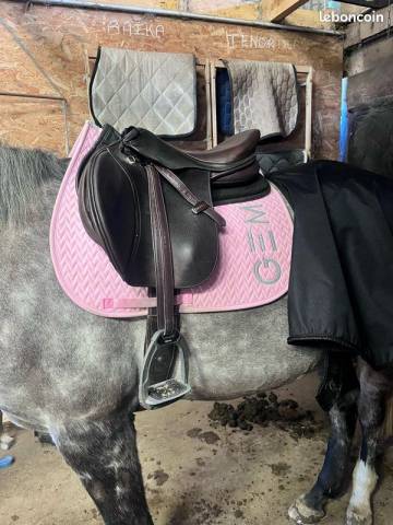 Sella da salto ostacoli Tattini Dalso Gold 17.5" - 2023